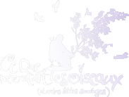 Le Pêcheur d’oiseaux